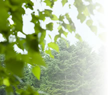 リラックスできます